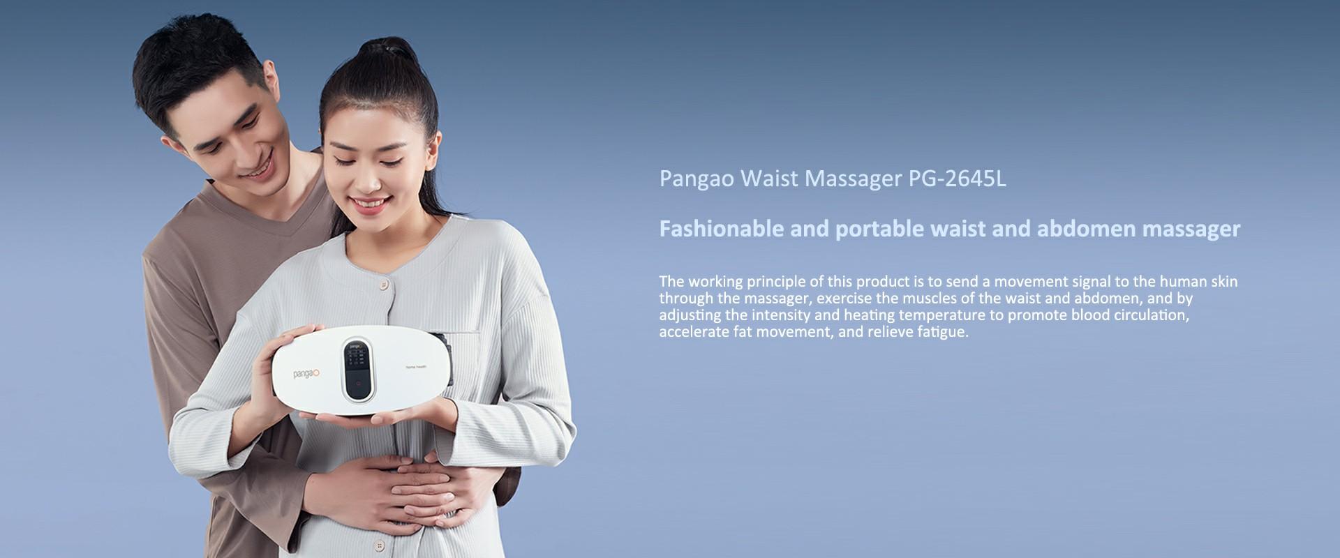 71986ea34c59615f8d78e1c4d47826b3 ماساژور کمر پانگائو مدل (Pangao PG-2645L) 2